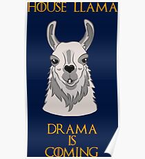 House Llama Poster