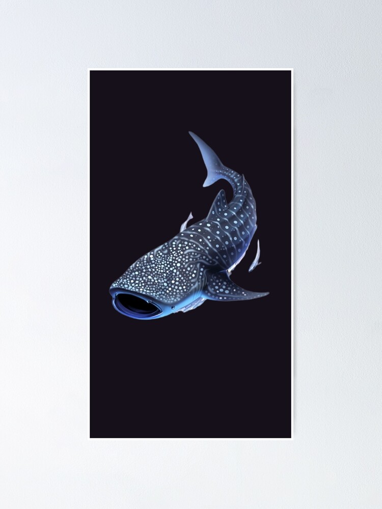 Rhincodon typus shark  Poster for Sale by CELIA MA