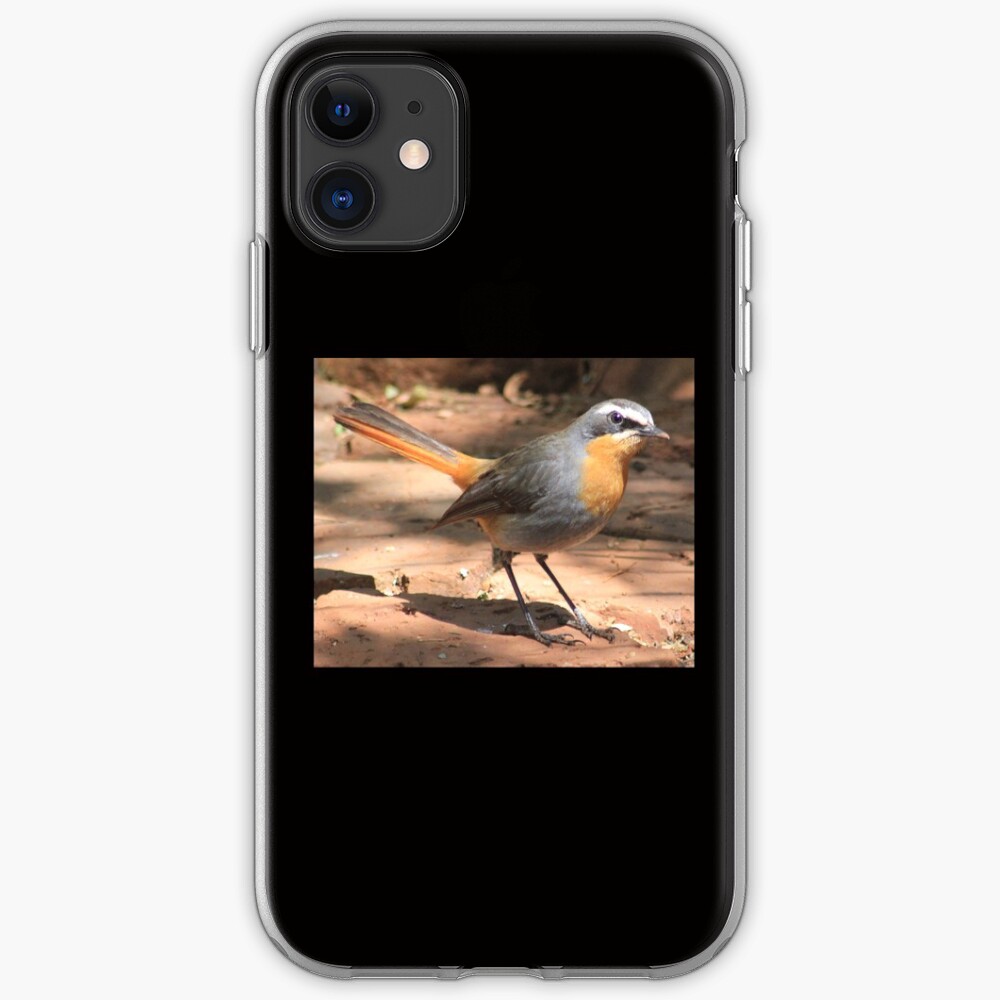 Cape Robin giving me the eye iPhone Case & Cover