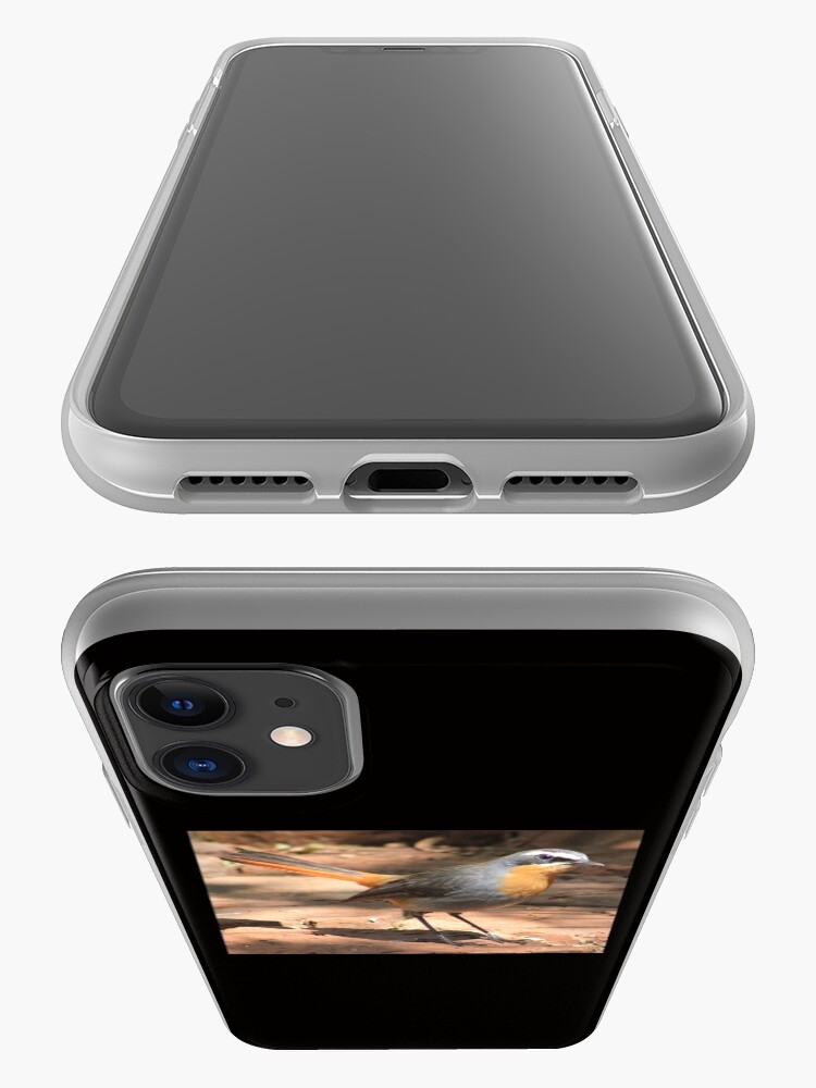 Alternate view of Cape Robin giving me the eye iPhone Case & Cover