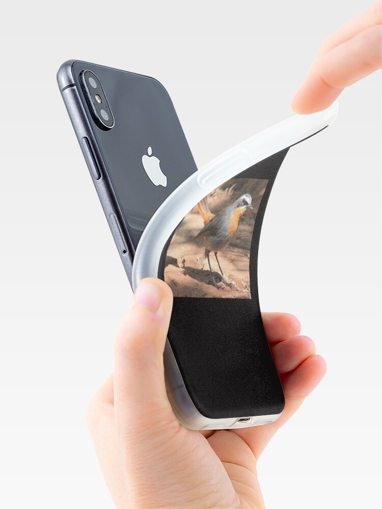 Alternate view of Cape Robin giving me the eye iPhone Case & Cover