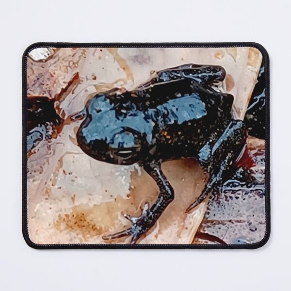 Item preview, Amphibian Baby designed and sold by Geoff Treagus.