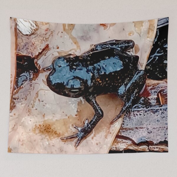 Item preview, Amphibian Baby designed and sold by Geoff Treagus.