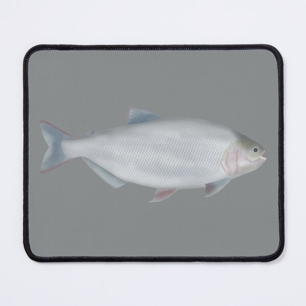 Item preview, Matrinxã designed and sold by fishfolkart.