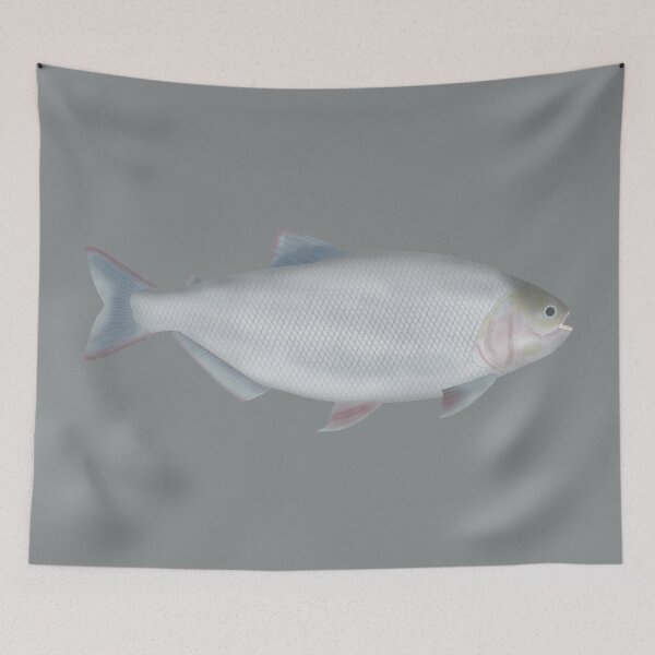 Item preview, Matrinxã designed and sold by fishfolkart.