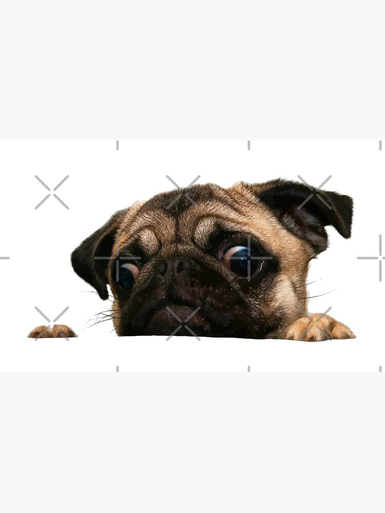PEEK A PUG by darklordpug
