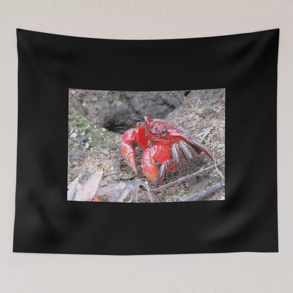 Aperçu de l'œuvre Crabe Fleur Rouge Classique créée et vendue par corvansearls.