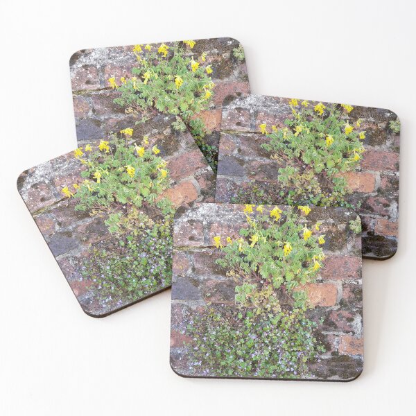 Item preview, Flowers in Brickwork designed and sold by DravensApparel.