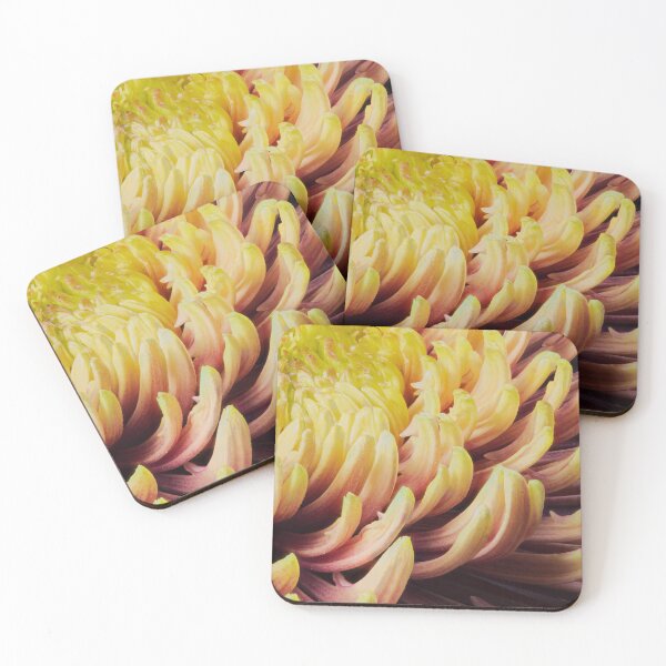 Item preview, closeup of chrysanthemum morifolium designed and sold by FotoMahieu.