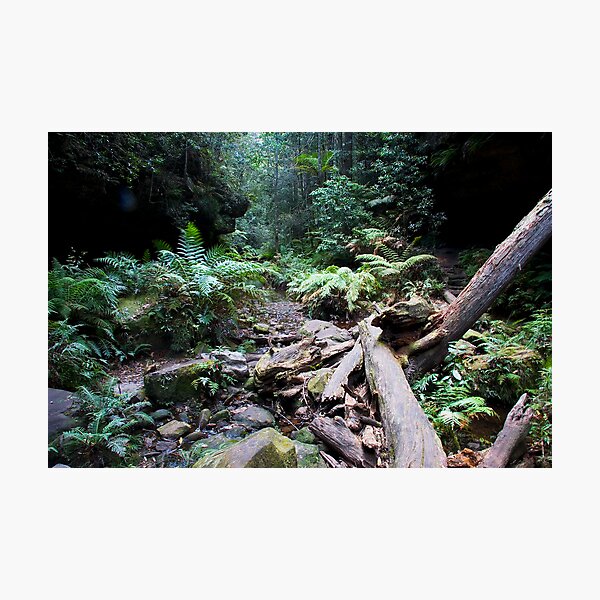 Item preview, Neates Glen Blue Mountains NSW Australia designed and sold by MiImages.
