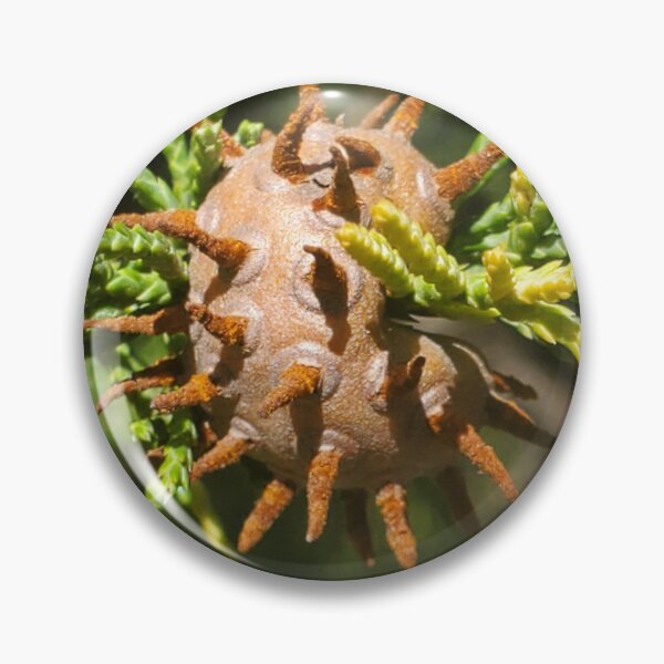 Item preview, Juniper apple rust  designed and sold by schmidy-botany.