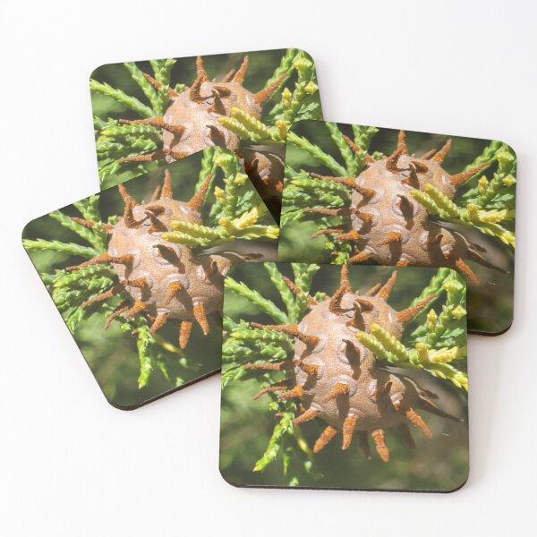 Item preview, Juniper apple rust  designed and sold by schmidy-botany.