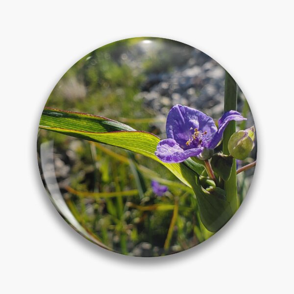 Item preview, Bluejacket near creek designed and sold by schmidy-botany.