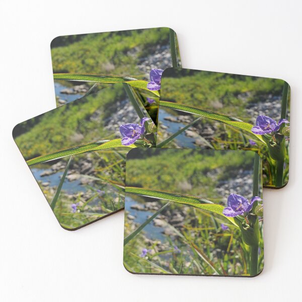 Item preview, Bluejacket near creek designed and sold by schmidy-botany.