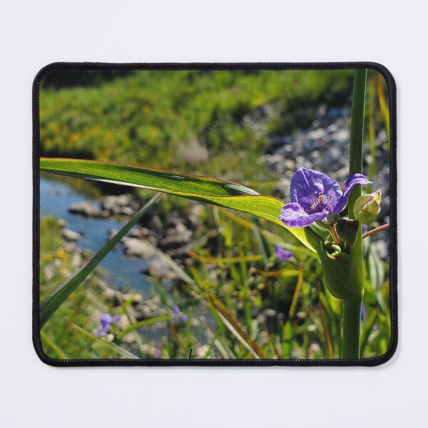 Item preview, Bluejacket near creek designed and sold by schmidy-botany.