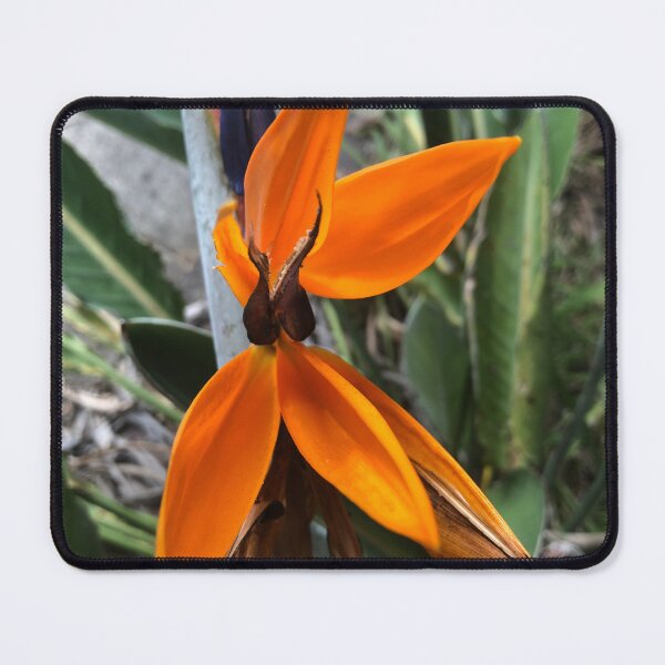 Item preview, Bird of Paradise designed and sold by KazM.