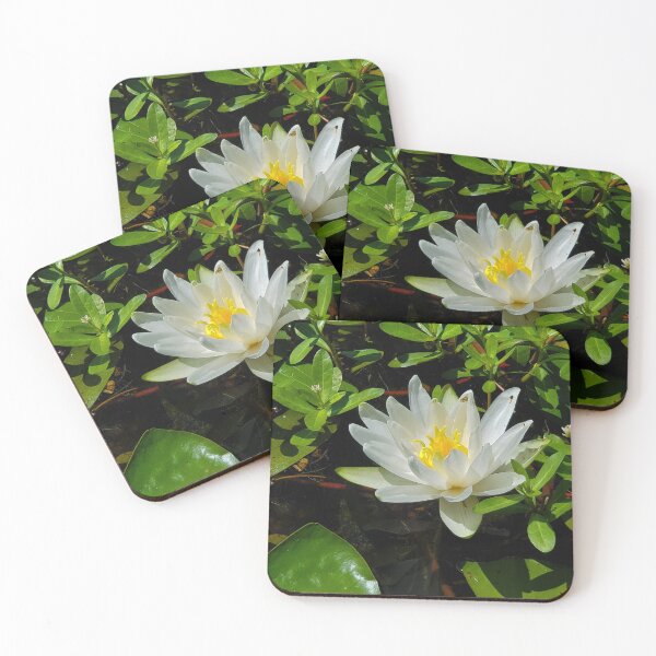 Item preview, White waterlily designed and sold by schmidy-botany.