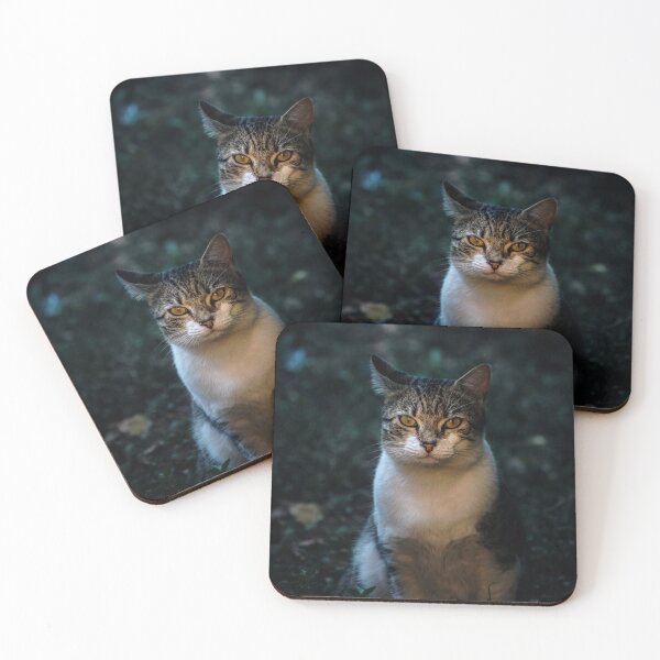 Item preview, A cat watching you designed and sold by Brkoo-Shop.