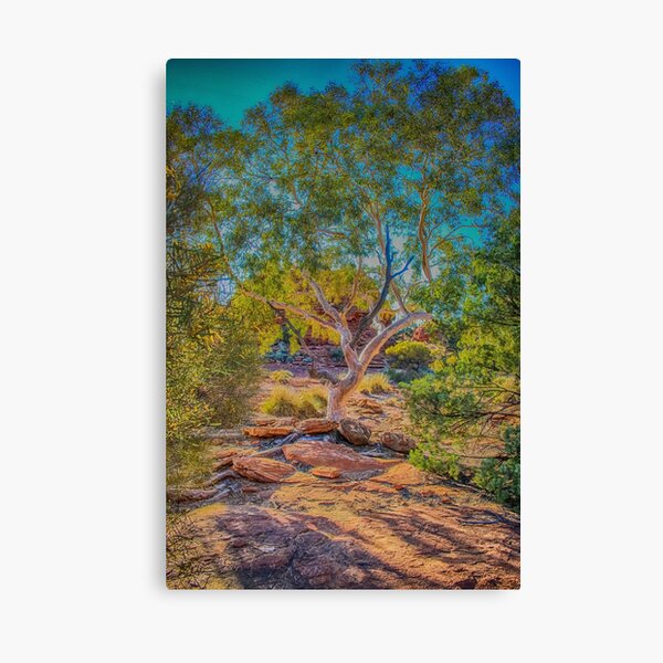 Item preview, Ghost Gum designed and sold by DVJPhotography.