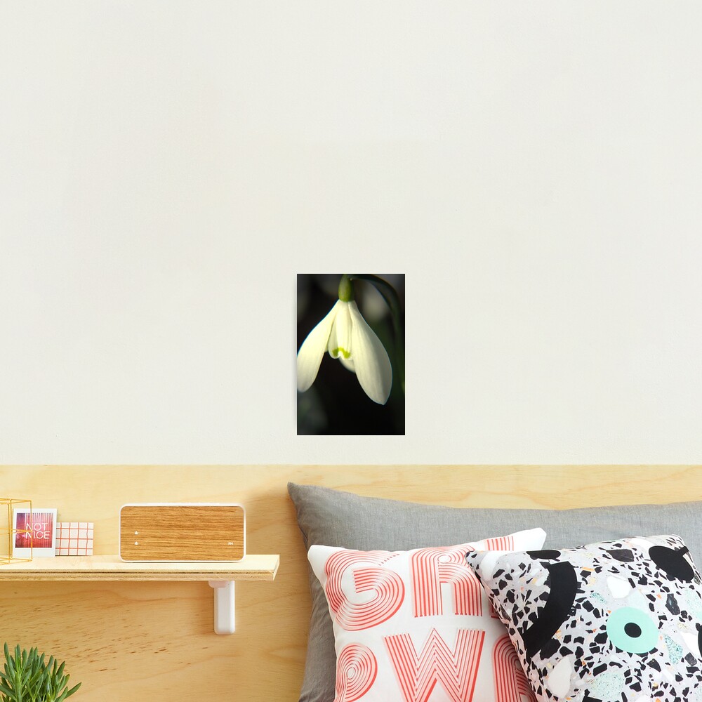 Item preview, Photographic Print designed and sold by ARTHURRTY.