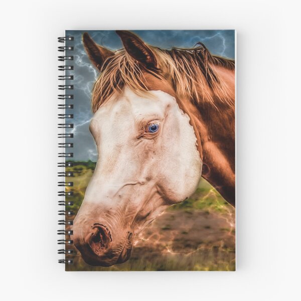Item preview, Paint Horse designed and sold by DVJPhotography.