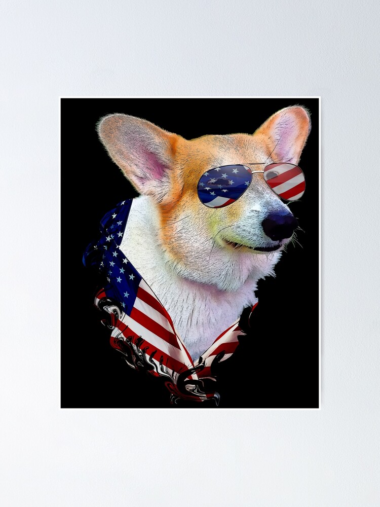 Corgi usa store