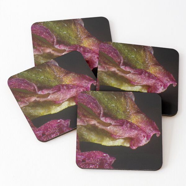 Item preview, Micro-Flowers, green and pink flower petal under the microscope (40x) designed and sold by Sarah Glavan.