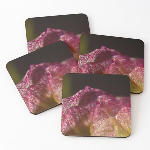 Item preview, Micro-Flowers, pink-yellow flower petal under the microscope (40x) designed and sold by Sarah Glavan.