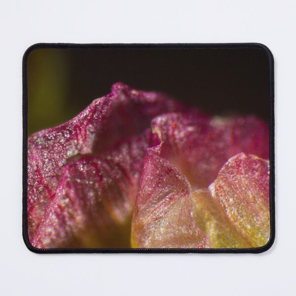 Item preview, Micro-Flowers, pink-yellow flower petal under the microscope (40x) designed and sold by Sarah Glavan.