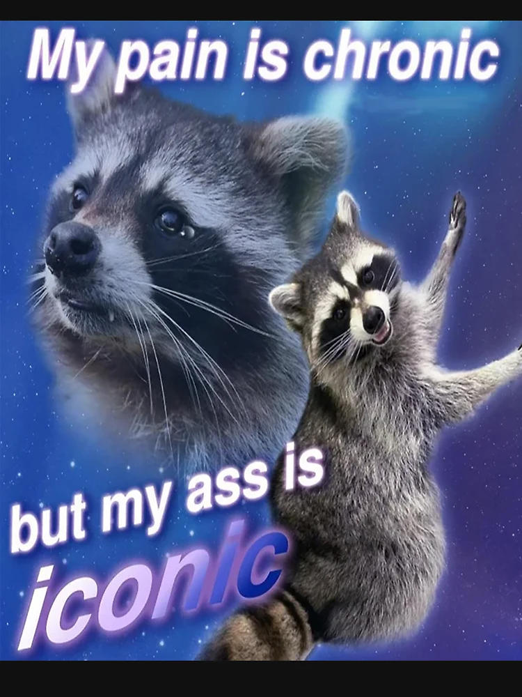 My Pain Is Chronic, But My Ass Is Iconic Shirt, Opossums T-shirt TE3684