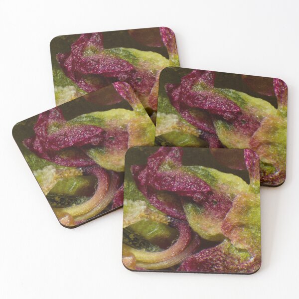 Item preview, Micro-Flowers, pink and green flower details under the microscope (40x) designed and sold by Sarah Glavan.