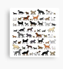 dogs dogs dogs Metal Print