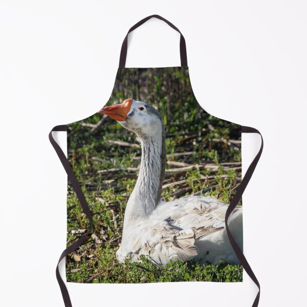 Item preview, Why Are You Taking My Picture? designed and sold by heatherfriedman.