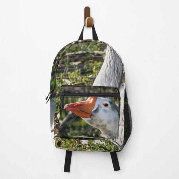Item preview, Why Are You Taking My Picture? designed and sold by heatherfriedman.