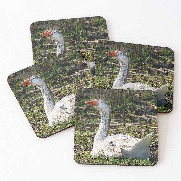 Item preview, Why Are You Taking My Picture? designed and sold by heatherfriedman.