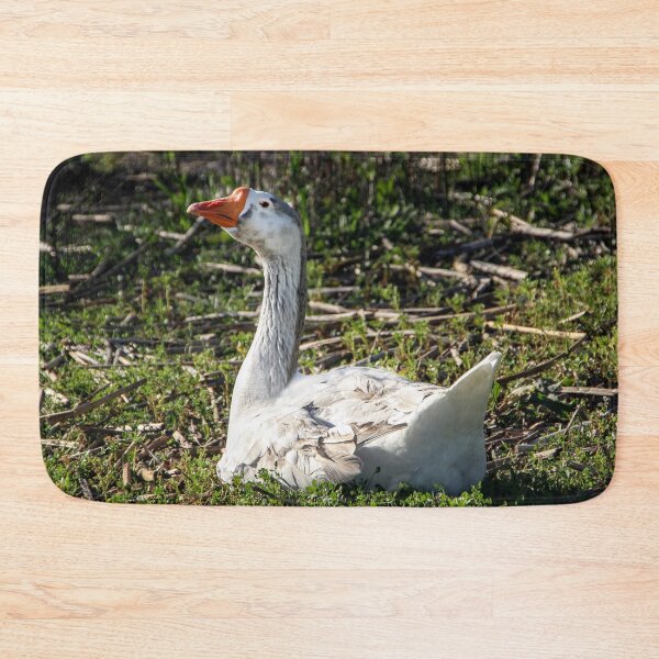 Item preview, Why Are You Taking My Picture? designed and sold by heatherfriedman.