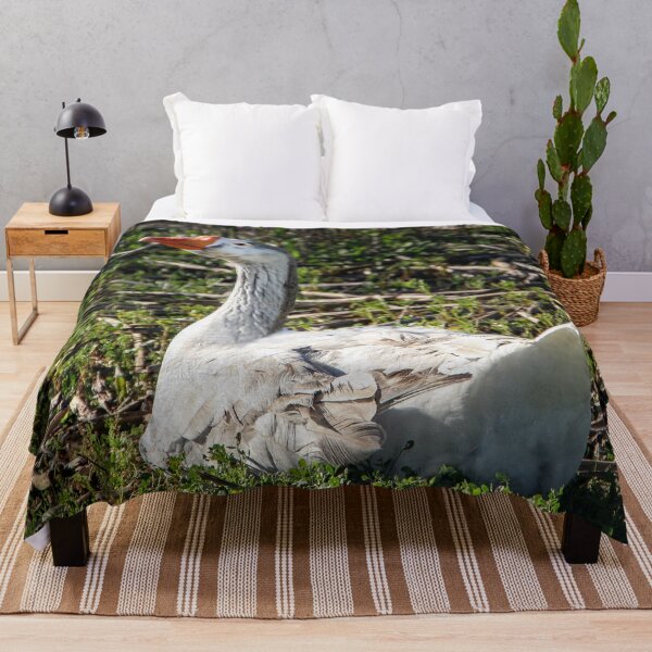 Item preview, Why Are You Taking My Picture? designed and sold by heatherfriedman.