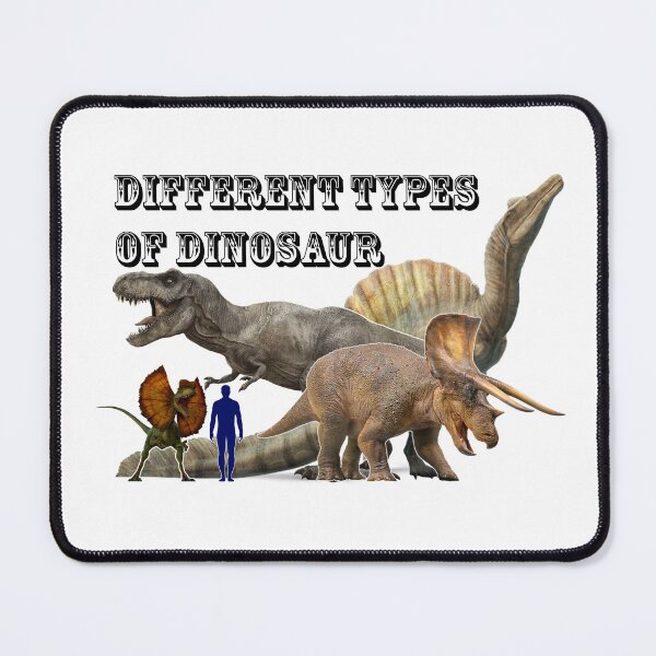 Item preview, Different Types of Dinosaur designed and sold by VibenGraphics.