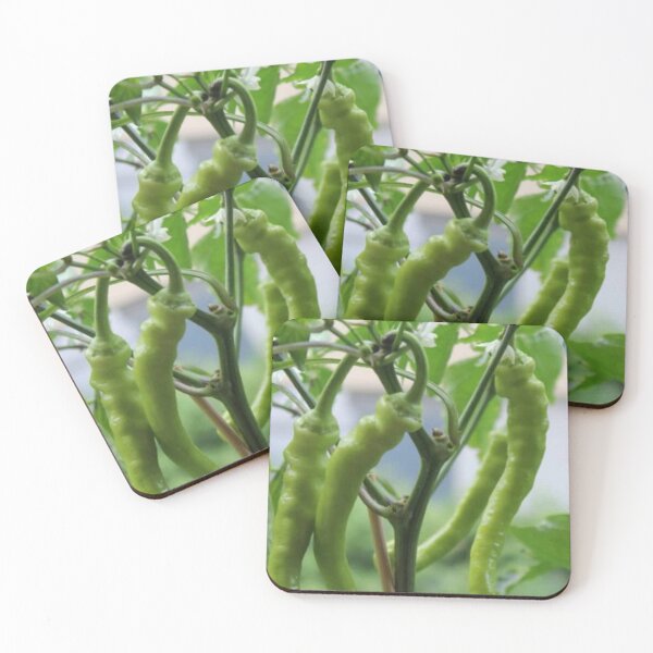 Item preview, Green chillies designed and sold by Saiamrita123.