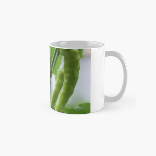 Item preview, Green chillies designed and sold by Saiamrita123.