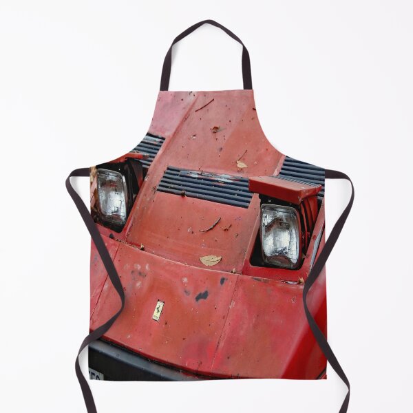 Item preview, Yard Find: 1984 GTO Berlinetta Nose designed and sold by John Schneider.