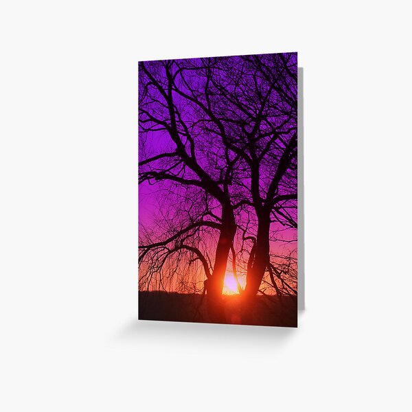 SUNSET HUBRIS Greeting Card