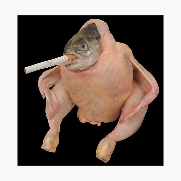 fish cigarette meme HQ Fish Face Chicken Smoking a Cigarette Meme Photographic Print