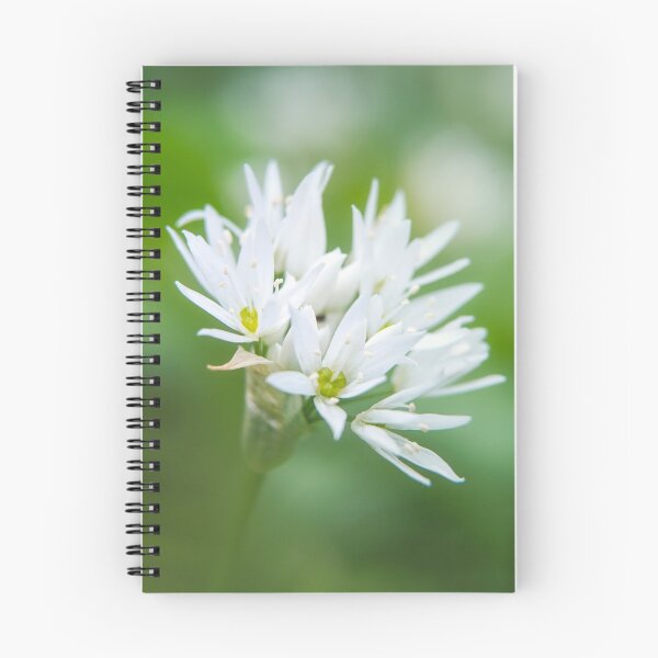 Item preview, Wild Garlic in Ancient British Woodland designed and sold by fionasmith.
