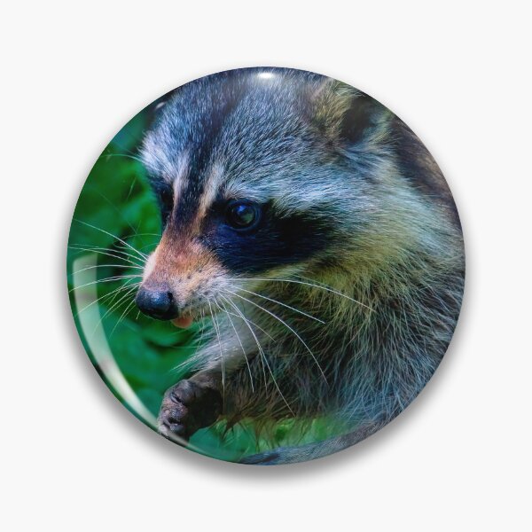 Artikelvorschau, Raccoon In Profile entworfen und verkauft von Thymely.