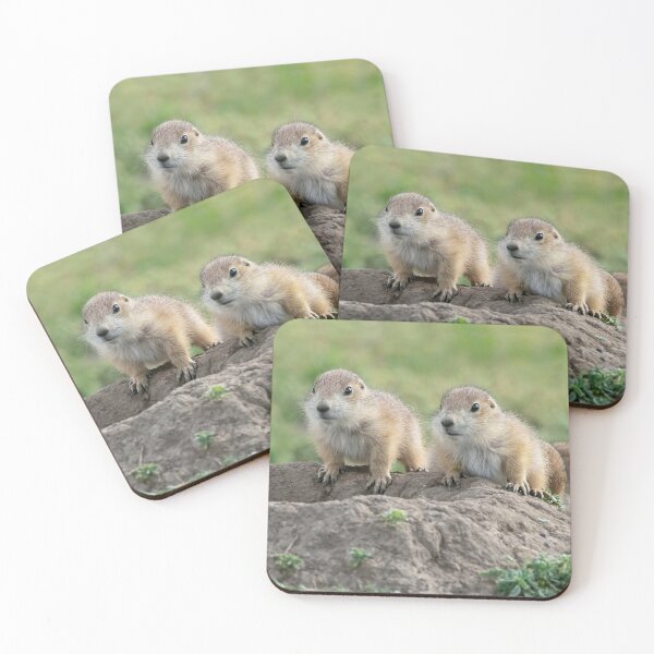 Item preview, The Three Dogeteers - Young Prairie Dogs at Burrow designed and sold by TheCurators.