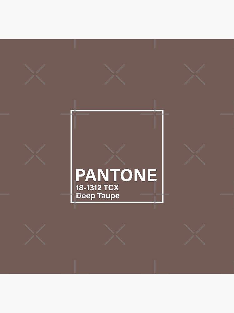 pantone 18-1312 TCX Deep Taupe | Pin