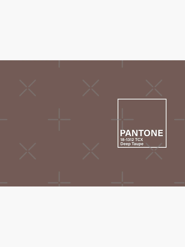 Pantone 18-1312 TPX Deep Taupe Precisely Matched For Spray Paint