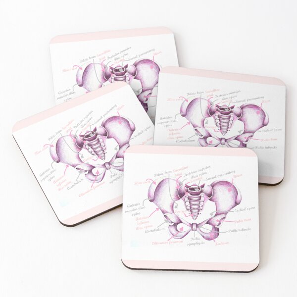 Item preview, Anatomy Of Pelvis designed and sold by MidwiferyGifts.