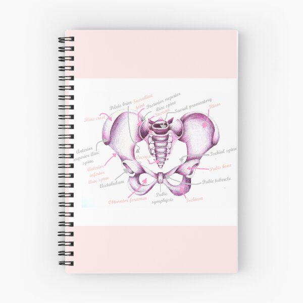 Item preview, Anatomy Of Pelvis designed and sold by MidwiferyGifts.